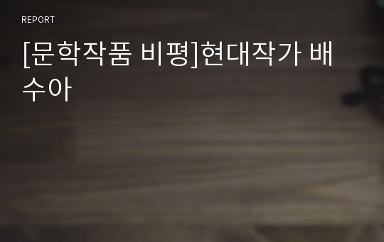 [문학작품 비평]현대작가 배수아