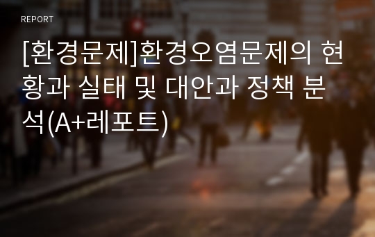 [환경문제]환경오염문제의 현황과 실태 및 대안과 정책 분석(A+레포트)