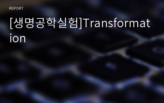 [생명공학실험]Transformation