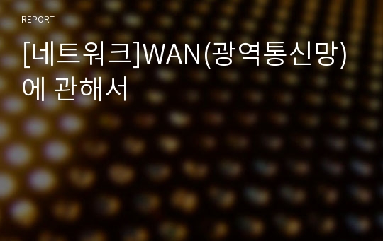 [네트워크]WAN(광역통신망)에 관해서