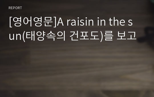 [영어영문]A raisin in the sun(태양속의 건포도)를 보고