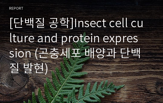 [단백질 공학]Insect cell culture and protein expression (곤충세포 배양과 단백질 발현)