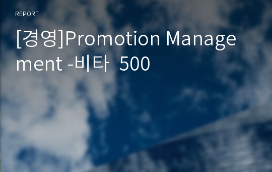 [경영]Promotion Management -비타  500