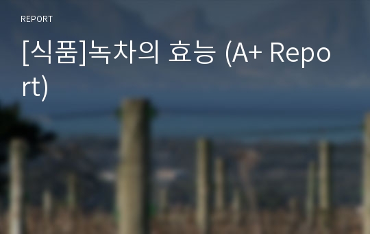 [식품]녹차의 효능 (A+ Report)