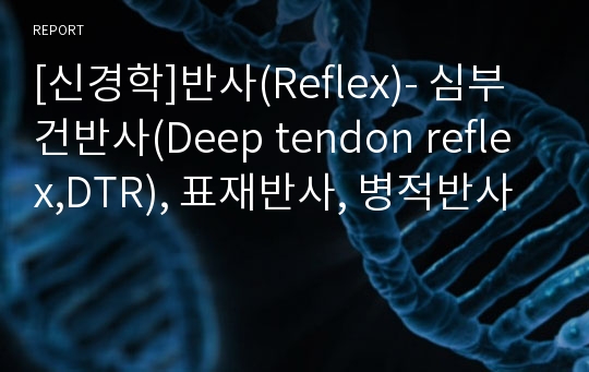 [신경학]반사(Reflex)- 심부건반사(Deep tendon reflex,DTR), 표재반사, 병적반사