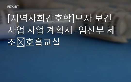 [지역사회간호학]모자 보건 사업 사업 계획서 -임산부 체조․호흡교실