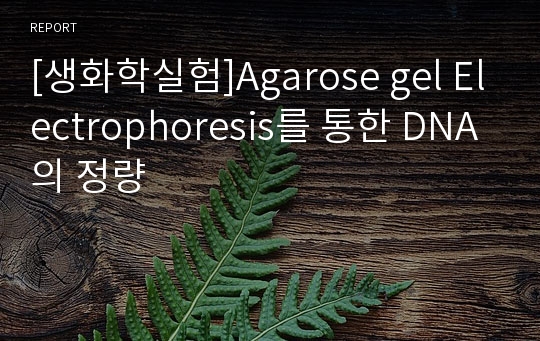 [생화학실험]Agarose gel Electrophoresis를 통한 DNA의 정량