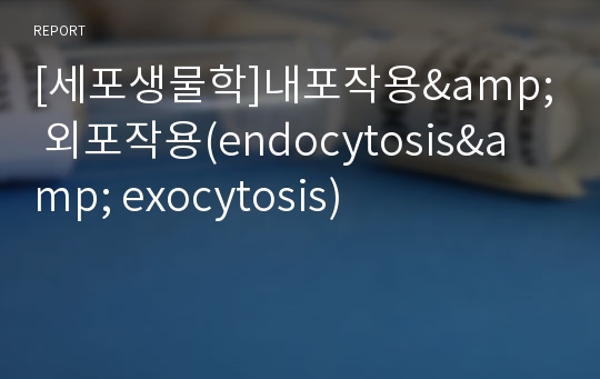 [세포생물학]내포작용&amp; 외포작용(endocytosis&amp; exocytosis)