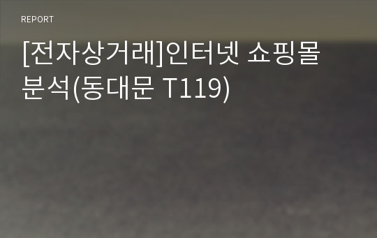 [전자상거래]인터넷 쇼핑몰 분석(동대문 T119)