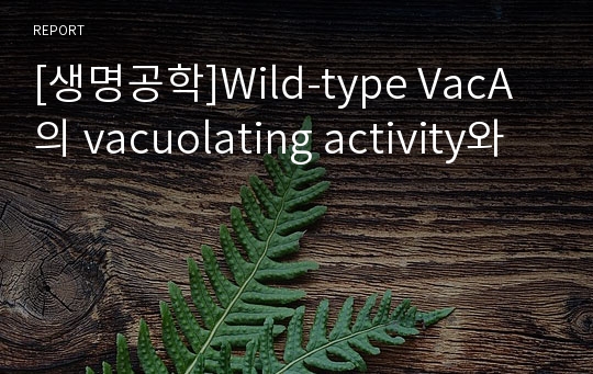 [생명공학]Wild-type VacA의 vacuolating activity와