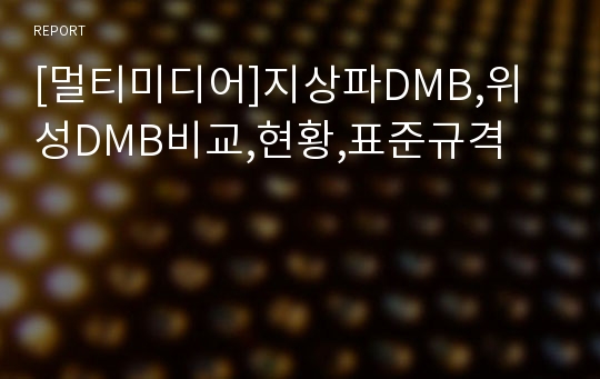 [멀티미디어]지상파DMB,위성DMB비교,현황,표준규격