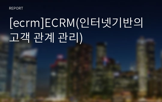 [ecrm]ECRM(인터넷기반의 고객 관계 관리)