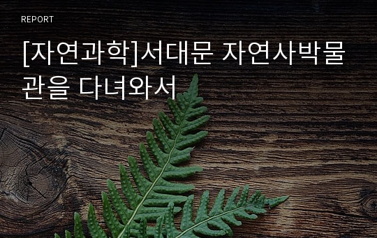 [자연과학]서대문 자연사박물관을 다녀와서