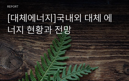 [대체에너지]국내외 대체 에너지 현황과 전망