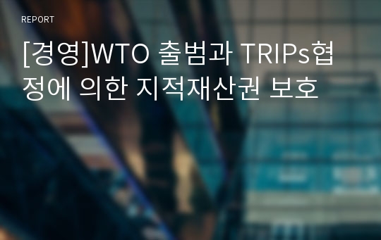 [경영]WTO 출범과 TRIPs협정에 의한 지적재산권 보호