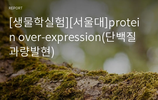 [생물학실험][서울대]protein over-expression(단백질과량발현)