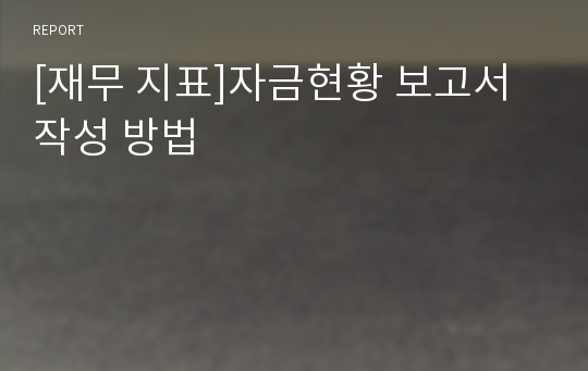 [재무 지표]자금현황 보고서 작성 방법