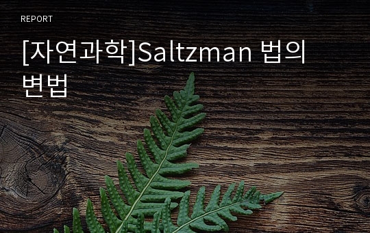[자연과학]Saltzman 법의 변법