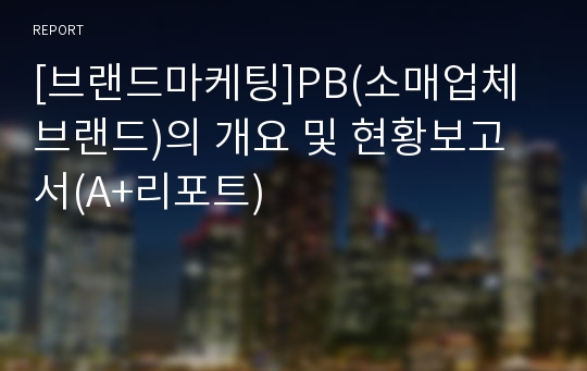 [브랜드마케팅]PB(소매업체브랜드)의 개요 및 현황보고서(A+리포트)