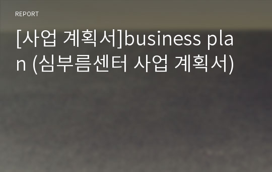 [사업 계획서]business plan (심부름센터 사업 계획서)