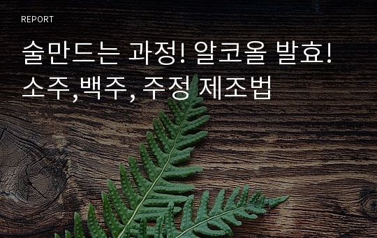 술만드는 과정! 알코올 발효! 소주,백주, 주정 제조법