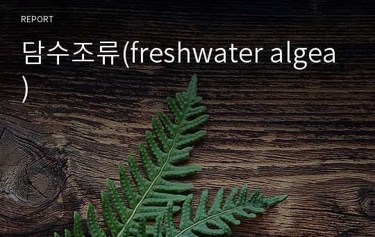 담수조류(freshwater algea)