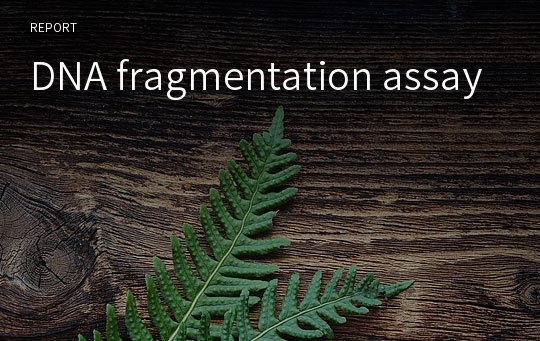 DNA fragmentation assay