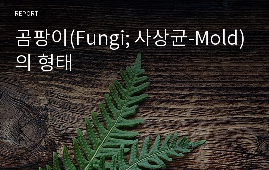 곰팡이(Fungi; 사상균-Mold)의 형태