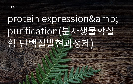 protein expression&amp;purification(분자생물학실험-단백질발현과정제)