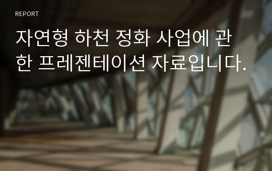 자연형 하천 정화 사업에 관한 프레젠테이션 자료입니다.