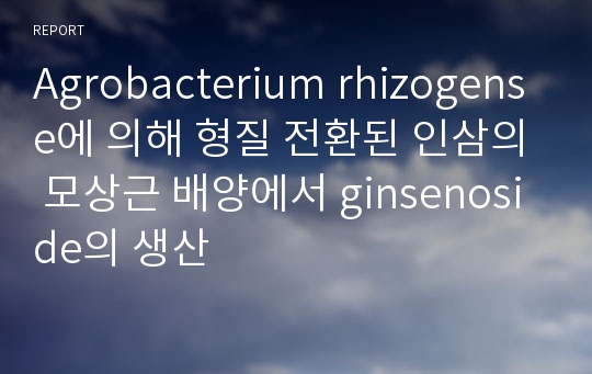 Agrobacterium rhizogense에 의해 형질 전환된 인삼의 모상근 배양에서 ginsenoside의 생산