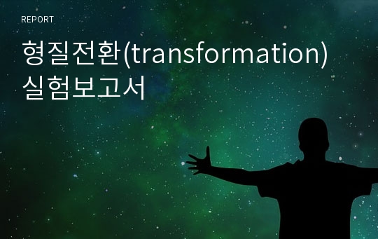 형질전환(transformation) 실험보고서