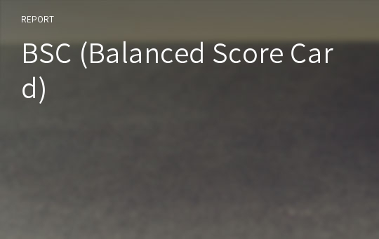 BSC (Balanced Score Card)