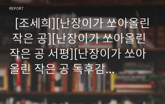   [조세희][난장이가 쏘아올린 작은 공][난장이가 쏘아올린 작은 공 서평][난장이가 쏘아올린 작은 공 독후감][독서감상문]조세희의 난장이가 쏘아올린 작은 공을 읽고, 조세희의 난장이가 쏘아올린 작은 공 독후감