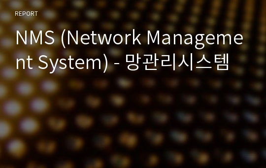 NMS (Network Management System) - 망관리시스템