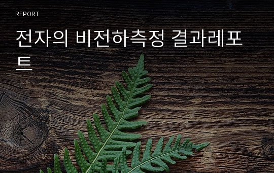 전자의 비전하측정 결과레포트