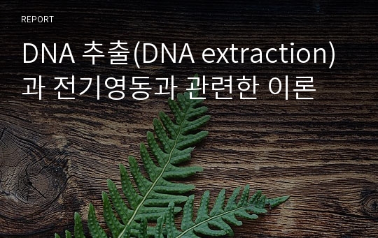 DNA 추출(DNA extraction)과 전기영동과 관련한 이론