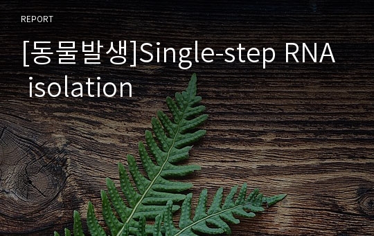 [동물발생]Single-step RNA isolation