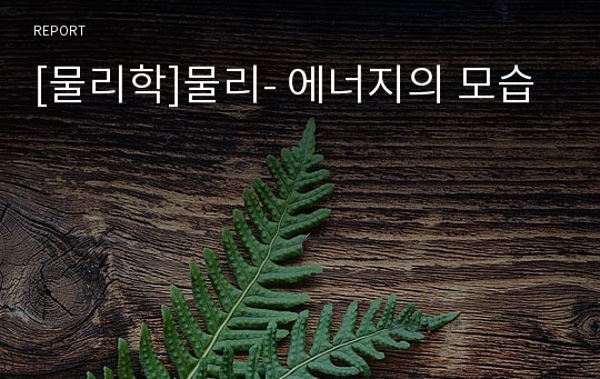 [물리학]물리- 에너지의 모습