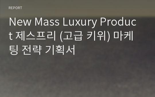 New Mass Luxury Product 제스프리 (고급 키위) 마케팅 전략 기획서