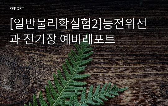 [일반물리학실험2]등전위선과 전기장 예비레포트