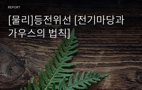 [물리]등전위선 [전기마당과 가우스의 법칙]