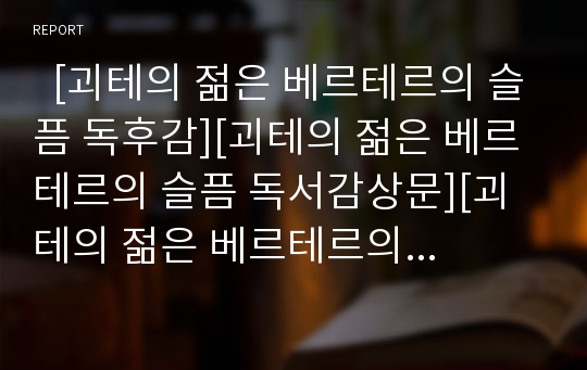   [괴테의 젊은 베르테르의 슬픔 독후감][괴테의 젊은 베르테르의 슬픔 독서감상문][괴테의 젊은 베르테르의 슬픔 서평][괴테의 젊은 베르테르의 슬픔을 읽고][젊은 베르테르의 슬픔]괴테의 젊은 베르테르의 슬픔 서평