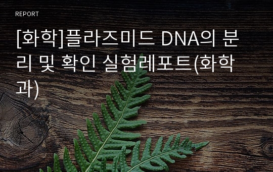 [화학]플라즈미드 DNA의 분리 및 확인 실험레포트(화학과)