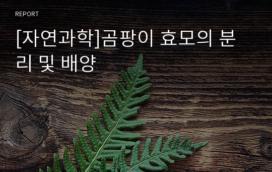 [자연과학]곰팡이 효모의 분리 및 배양