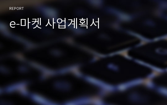 e-마켓 사업계획서