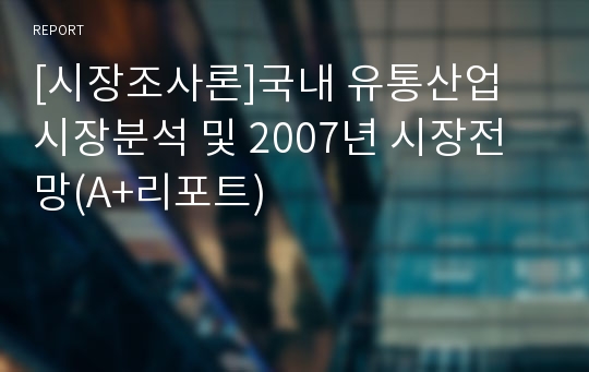 [시장조사론]국내 유통산업 시장분석 및 2007년 시장전망(A+리포트)