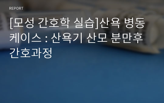 [모성 간호학 실습]산욕 병동 케이스 : 산욕기 산모 분만후 간호과정