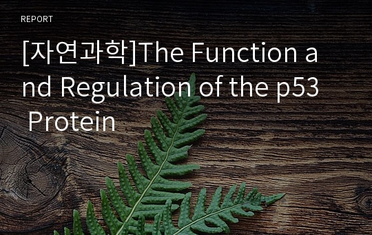 [자연과학]The Function and Regulation of the p53 Protein