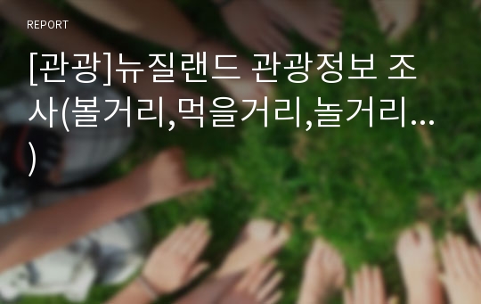 [관광]뉴질랜드 관광정보 조사(볼거리,먹을거리,놀거리...)